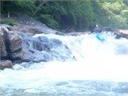 Socemdog06252014__10