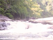 Socemdog06252014__12