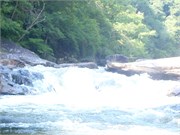 Socemdog06252014__14