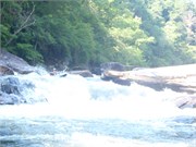 Socemdog06252014__17