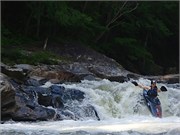 Socemdog06252014__26