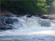Socemdog06252014__6