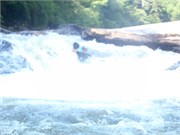 Socemdog06252014__8