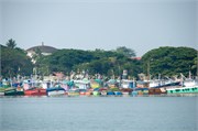 256_Cochin_a17