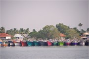 259_Cochin_a26