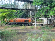 299_Goa_e15