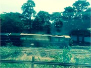 356_Goa_iP110