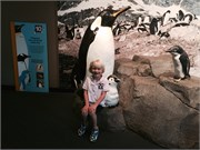 Chattanooga_17