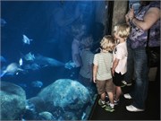 Chattanooga_18