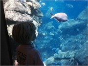 Chattanooga_19