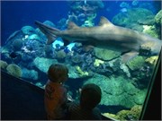 Chattanooga_21