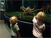 Chattanooga_22