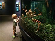Chattanooga_24