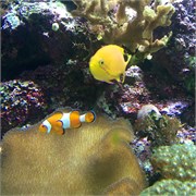 Chattanooga_28