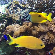 Chattanooga_30