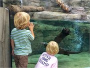 Chattanooga_44