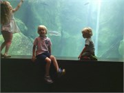Chattanooga_45