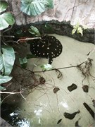 Chattanooga_7
