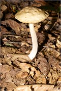 JonesGap_10