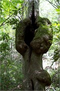 JonesGap_6