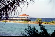 Roatan_19