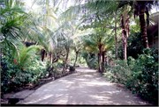 Roatan_30