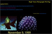 11091999