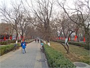 Beijing_7