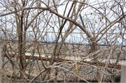 Imjingak-DMZ_43