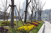 ShanghaiBund_22