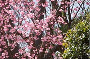 Nagasaki_b67