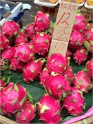 HongKong_b29