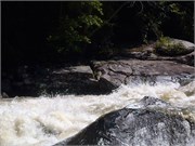 Gauley2014wk1_58
