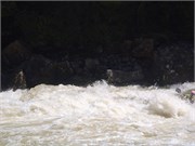 Gauley2014wk1_63