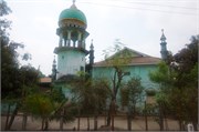 Bago-2014_14