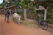 Bago-2014_92