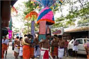Cochin_2014-20