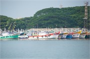 Cochin_2014-5