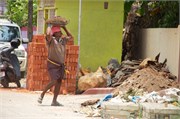 Cochin_2014-50