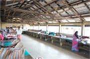 Cochin_2014-51