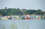 Cochin_2014-6