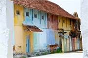Cochin_2014-64