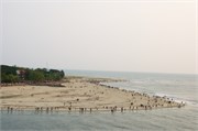 Cochin_2014-83