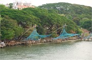 Cochin_2014-86
