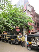 Mangalore_2014-21