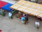 Goa_2014-1
