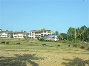 Goa_2014-14