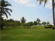 Goa_2014-48