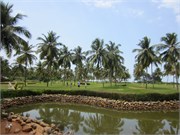 Goa_2014-49
