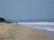 Goa_2014-51